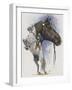 Lippizaner-Barbara Keith-Framed Giclee Print