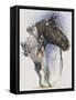 Lippizaner-Barbara Keith-Framed Stretched Canvas