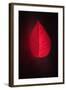 Lipstick-Philippe Sainte-Laudy-Framed Giclee Print