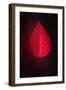 Lipstick-Philippe Sainte-Laudy-Framed Premium Giclee Print