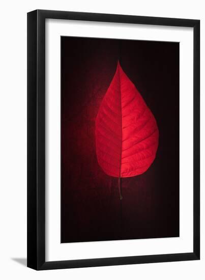 Lipstick-Philippe Sainte-Laudy-Framed Premium Giclee Print