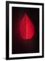 Lipstick-Philippe Sainte-Laudy-Framed Giclee Print