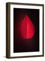 Lipstick-Philippe Sainte-Laudy-Framed Giclee Print