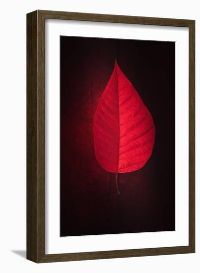 Lipstick-Philippe Sainte-Laudy-Framed Giclee Print