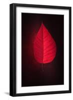 Lipstick-Philippe Sainte-Laudy-Framed Giclee Print