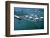 Liquefied Natural Gas Refinery-null-Framed Photographic Print