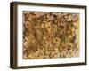 Liquid Energy I-Hilary Winfield-Framed Giclee Print