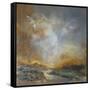 Liquid Gold-Anne Farrall Doyle-Framed Stretched Canvas