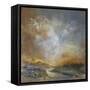 Liquid Gold-Anne Farrall Doyle-Framed Stretched Canvas