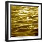 Liquid Gold-Charlie Carter-Framed Art Print