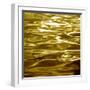 Liquid Gold-Charlie Carter-Framed Art Print