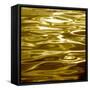 Liquid Gold-Charlie Carter-Framed Stretched Canvas