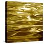 Liquid Gold-Charlie Carter-Stretched Canvas