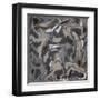 Liquid Industrial V - Canvas I-Hilary Winfield-Framed Giclee Print
