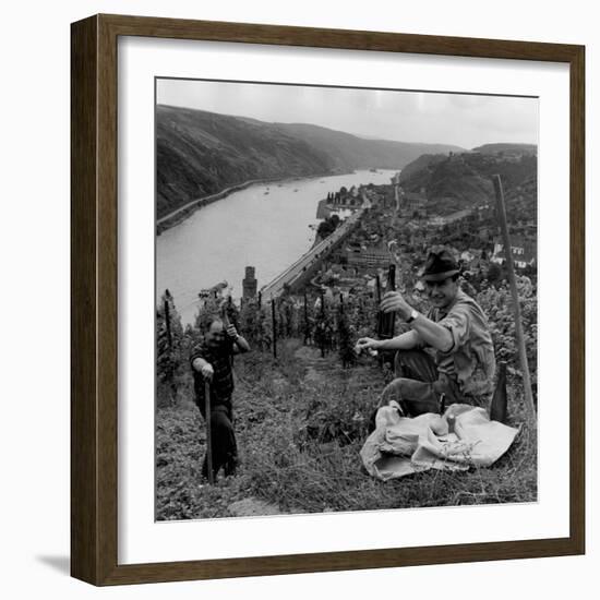 Liquid Lunch-null-Framed Photographic Print