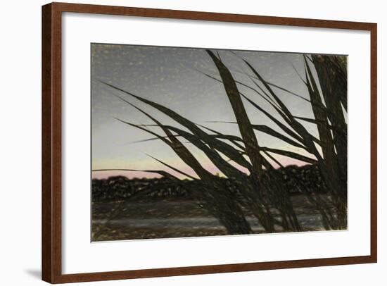 Liquid Pencil Drawing Giant Reeds After Sunset-Anthony Paladino-Framed Giclee Print