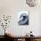 Liquid Wave 1-Megan Swartz-Stretched Canvas displayed on a wall