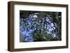 Liquid-K.B. White-Framed Photographic Print