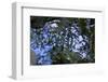 Liquid-K.B. White-Framed Photographic Print