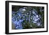 Liquid-K.B. White-Framed Photographic Print