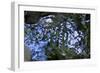 Liquid-K.B. White-Framed Photographic Print