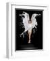 Liquidize-Pauline Pentony-Framed Photographic Print