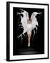 Liquidize-Pauline Pentony-Framed Photographic Print