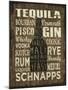 Liquor Sign III-Erin Clark-Mounted Giclee Print