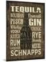 Liquor Sign III-Erin Clark-Mounted Premium Giclee Print