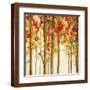 Brown Frame