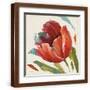Brown Frame
