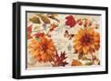 Black Frame