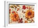 White Frame
