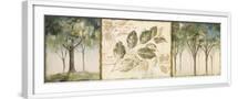 White Frame