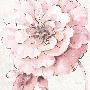 Just the Print