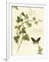 Gramercy White