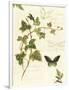 Gramercy White
