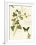 Gramercy White