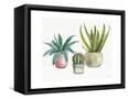 Canvas Black