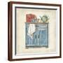Brown Frame