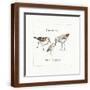 Brown Frame