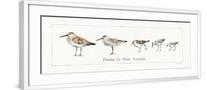 White Frame