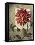 Framed Canvas