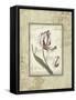 Framed Canvas