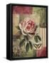 Framed Canvas
