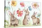 Stretched Canvas