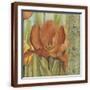 Brown Frame