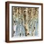 Brown Frame