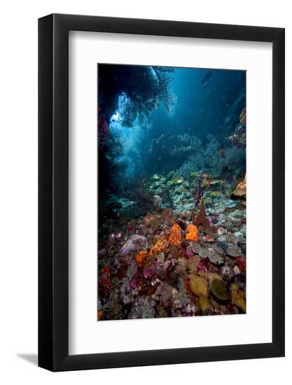 Premium Photographic Print, , large