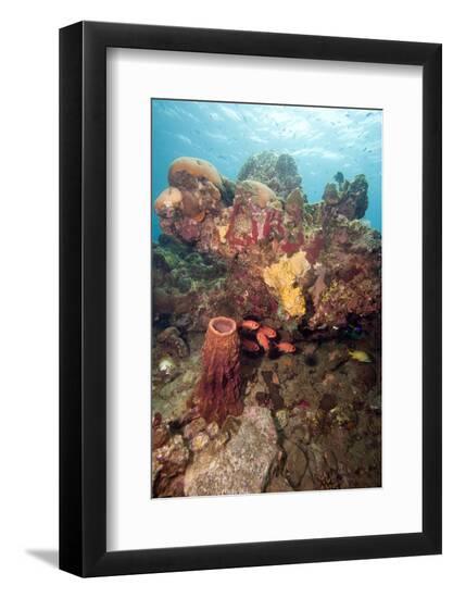 Premium Photographic Print, , large